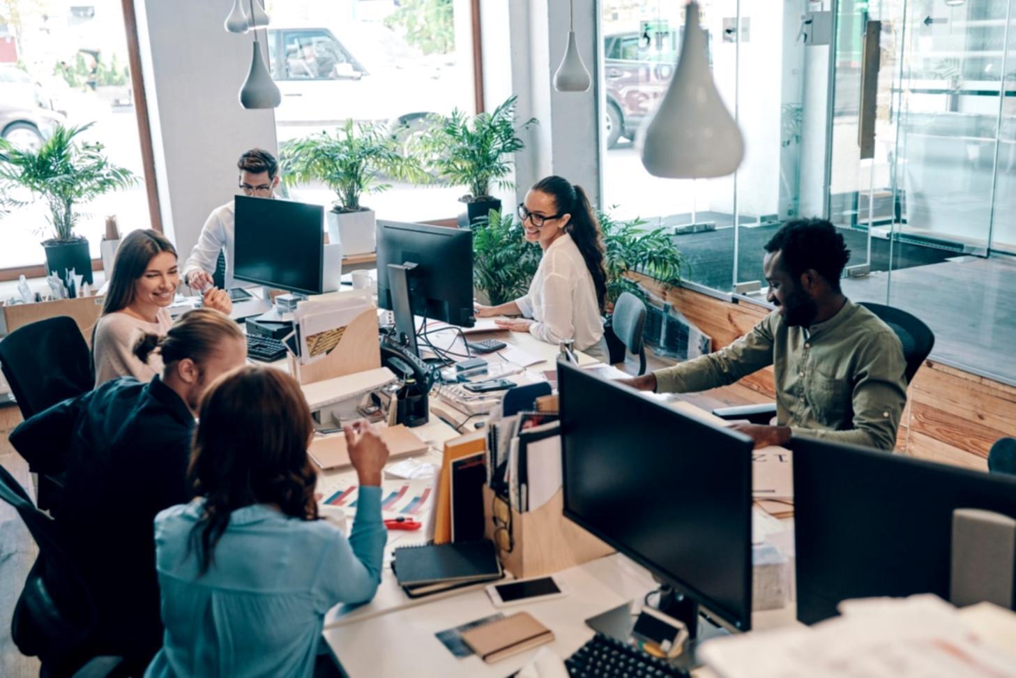 Live-Workshop: Budgetzahlen erklären